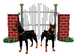 cani guardia.gif
